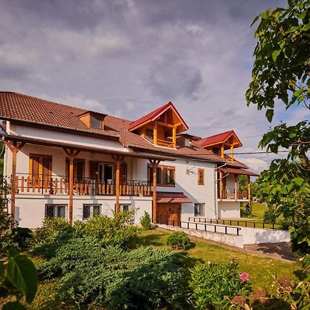 Vila Tara Hategului Bagian luar foto