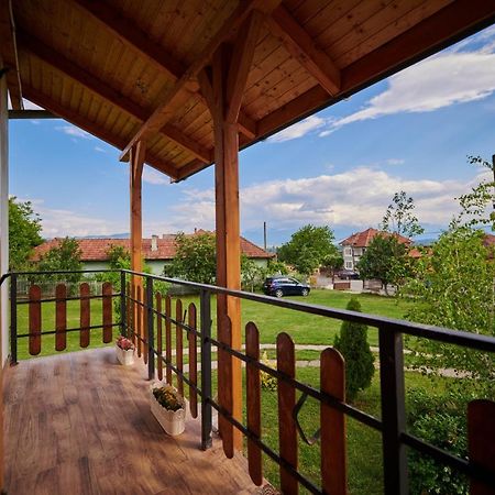 Vila Tara Hategului Bagian luar foto