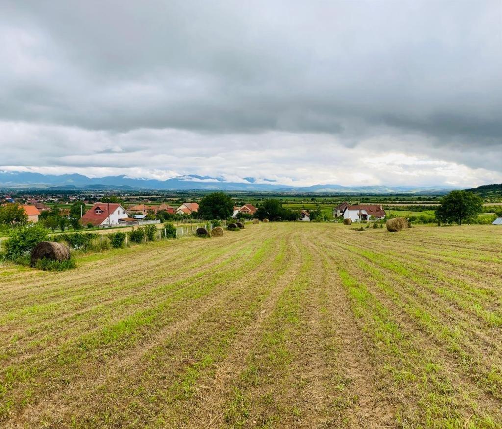 Vila Tara Hategului Bagian luar foto