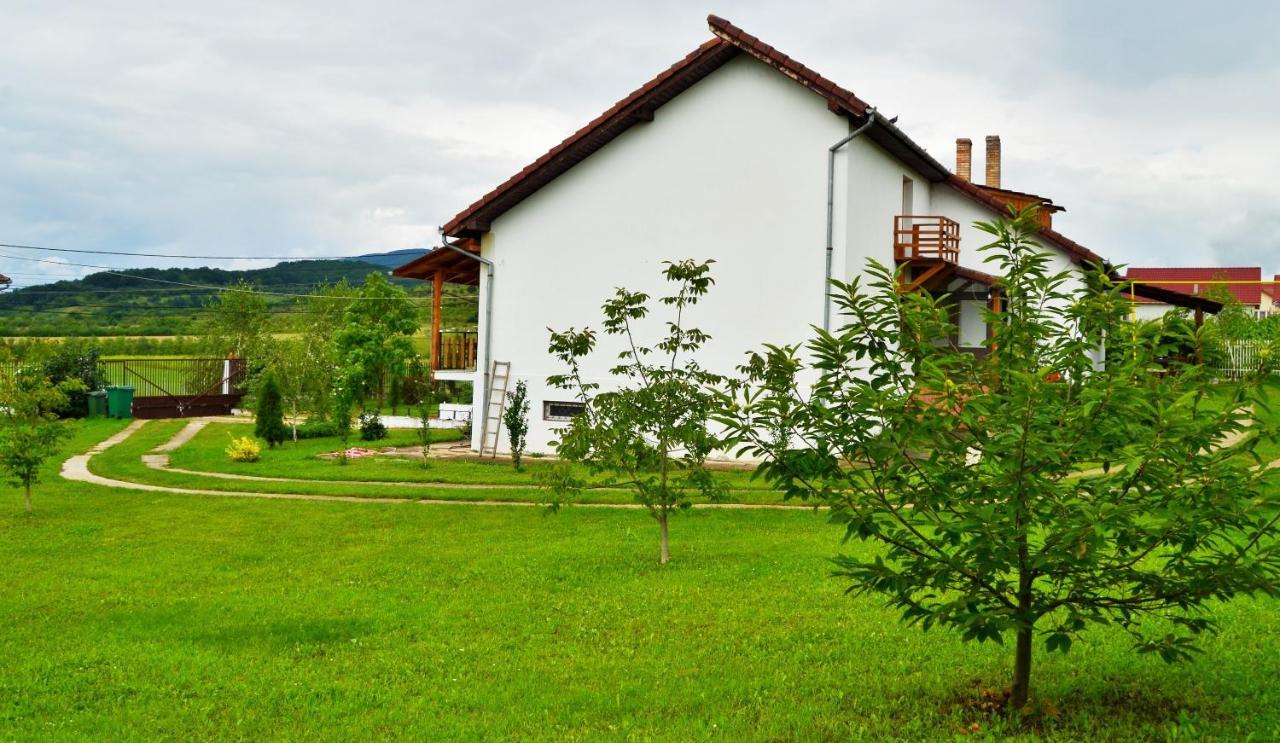 Vila Tara Hategului Bagian luar foto