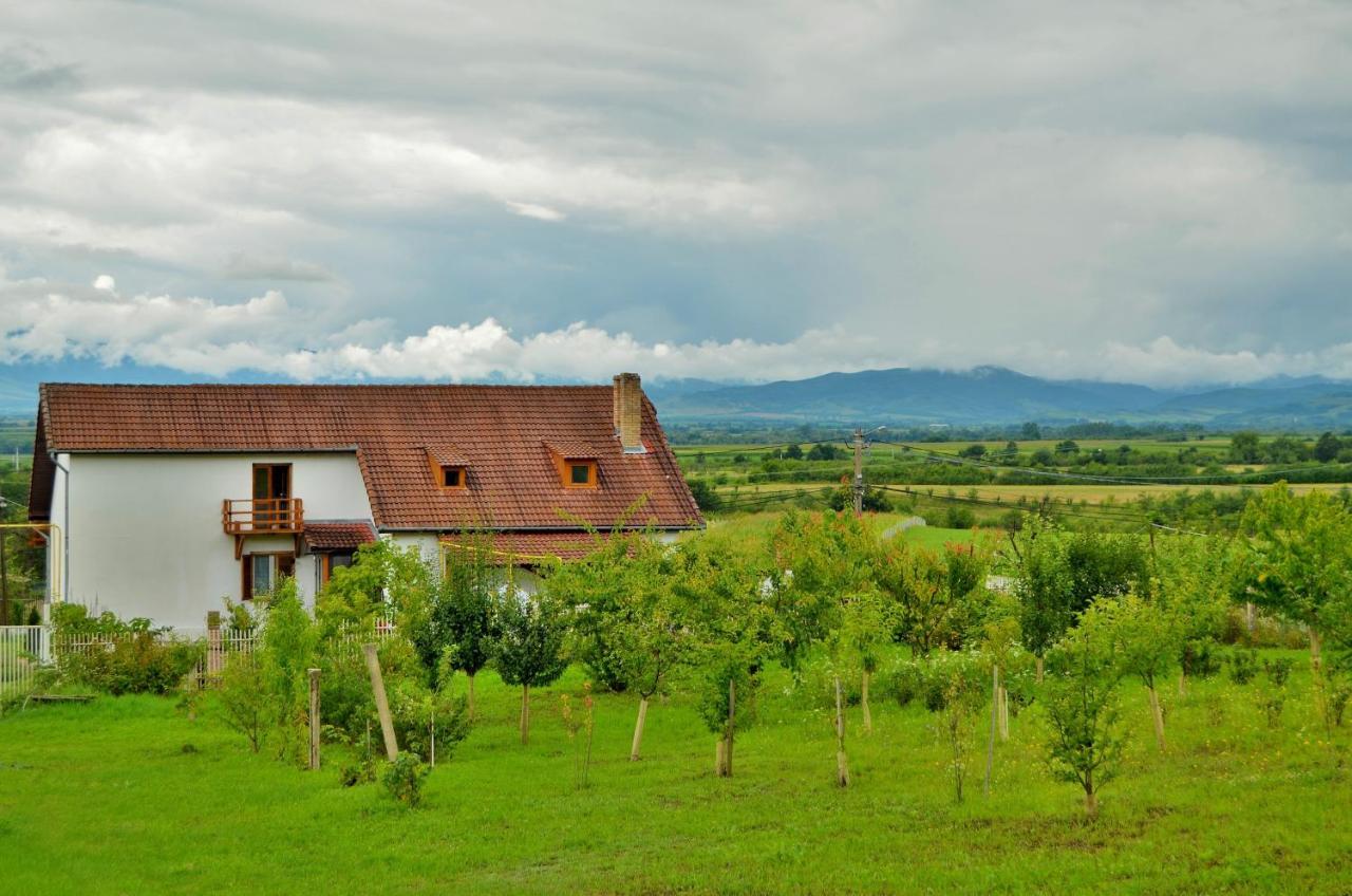 Vila Tara Hategului Bagian luar foto