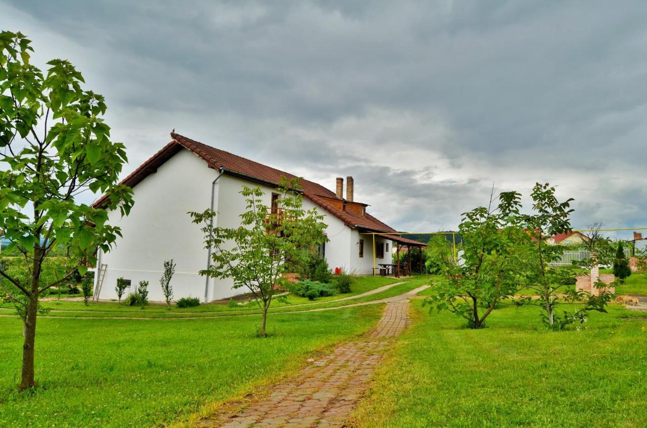 Vila Tara Hategului Bagian luar foto