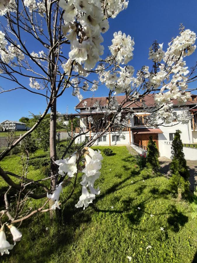 Vila Tara Hategului Bagian luar foto