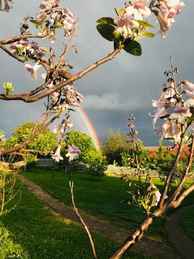 Vila Tara Hategului Bagian luar foto