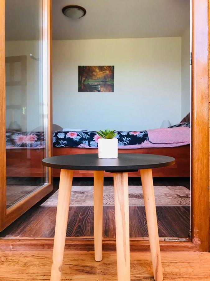 Vila Tara Hategului Bagian luar foto