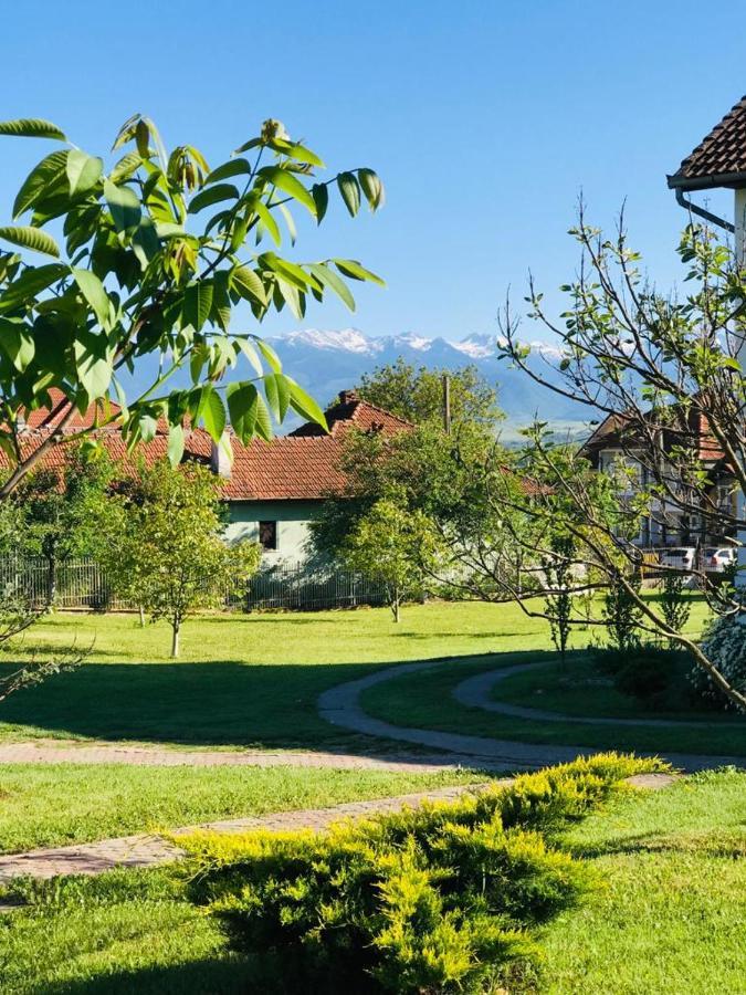 Vila Tara Hategului Bagian luar foto
