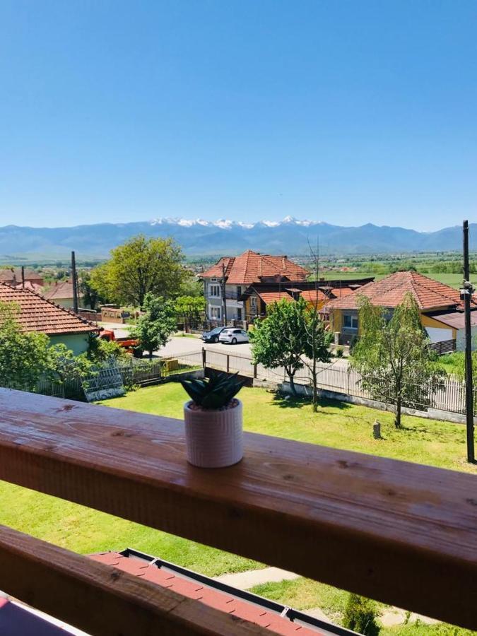 Vila Tara Hategului Bagian luar foto