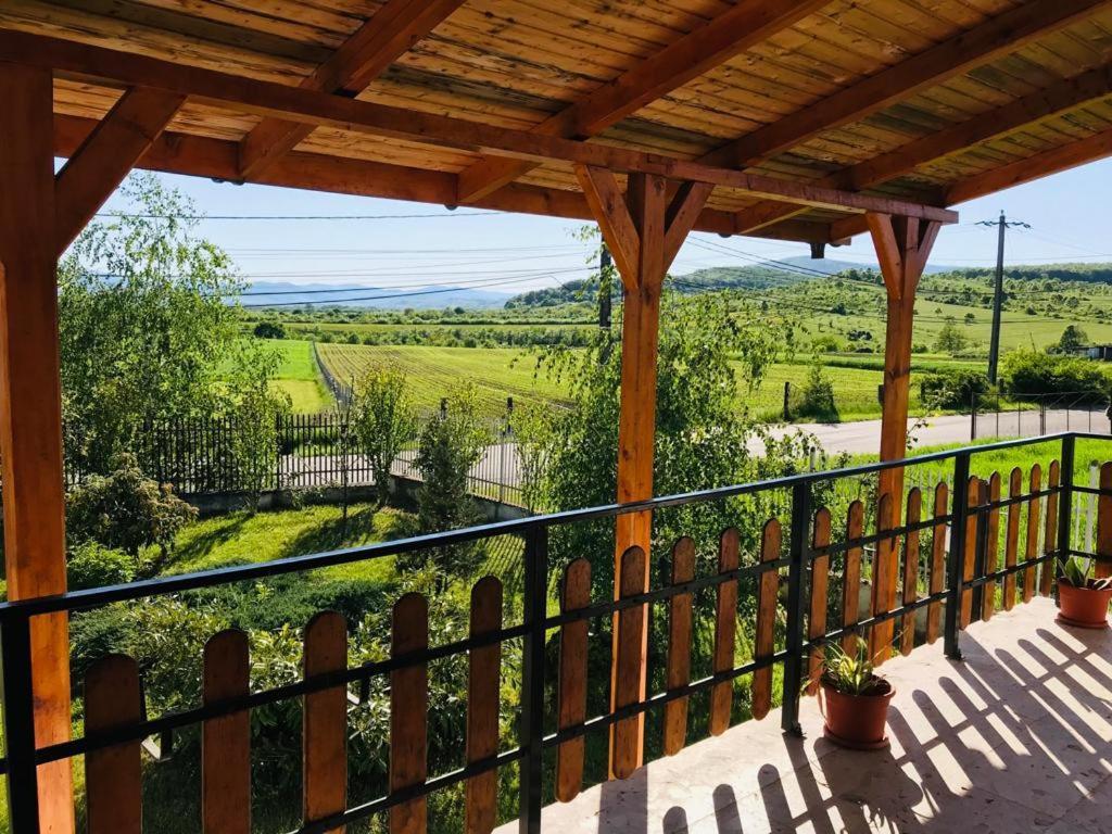 Vila Tara Hategului Bagian luar foto