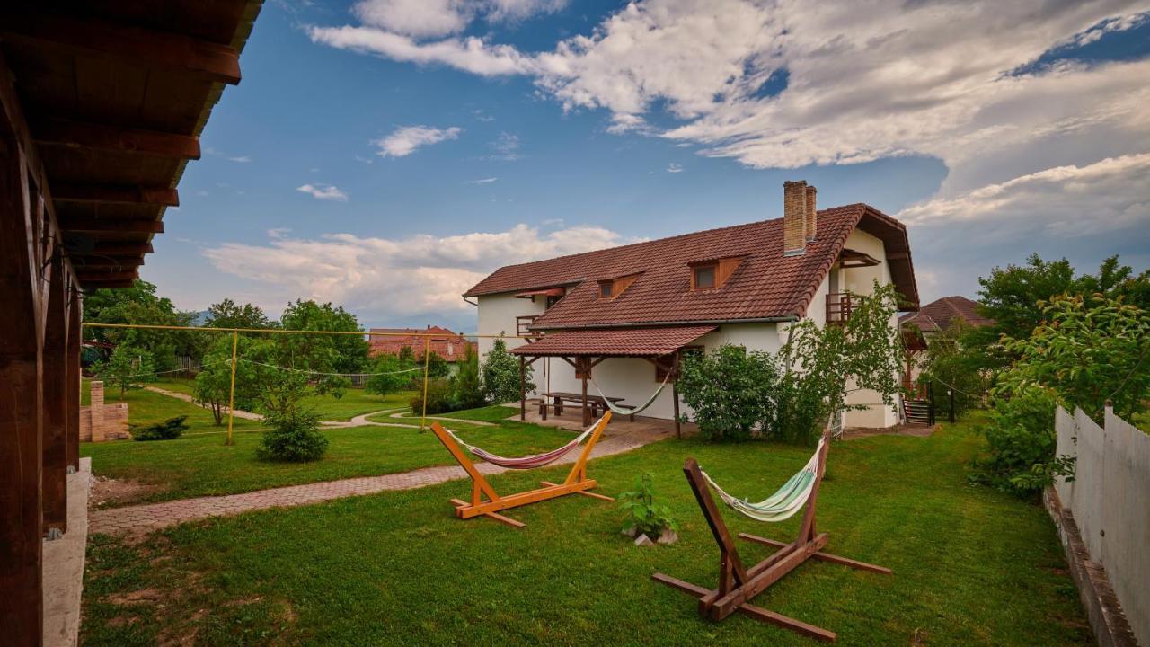 Vila Tara Hategului Bagian luar foto