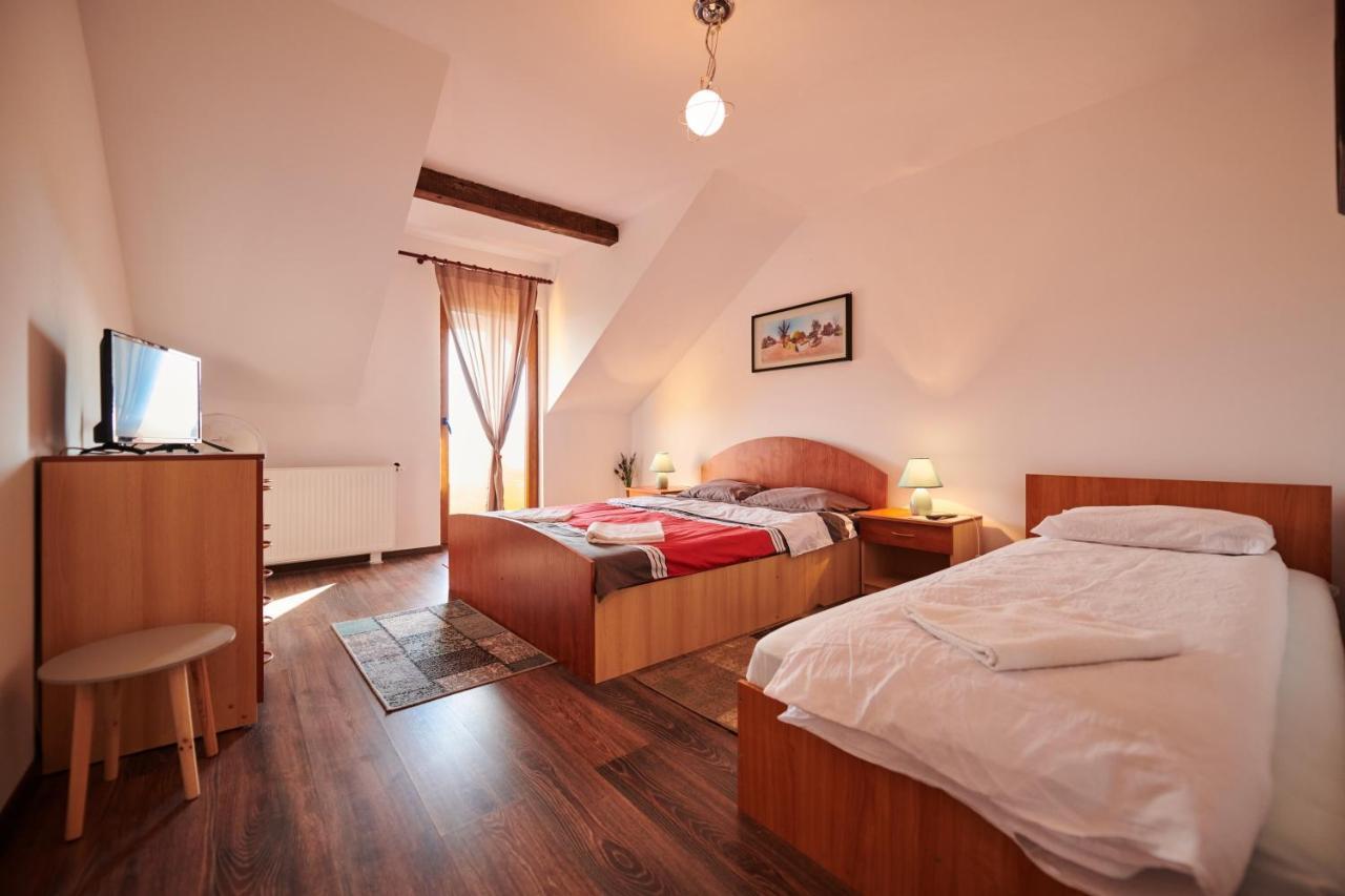 Vila Tara Hategului Bagian luar foto