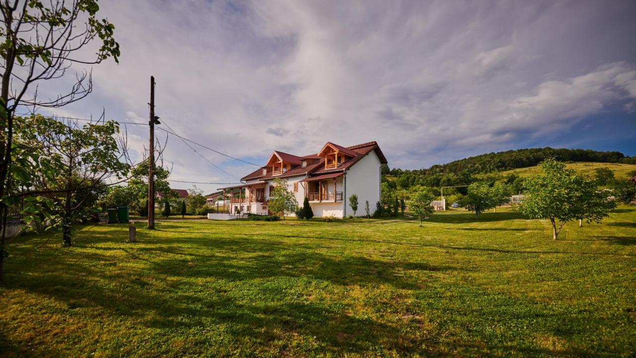Vila Tara Hategului Bagian luar foto