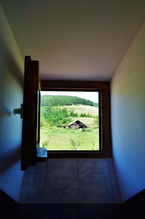 Vila Tara Hategului Bagian luar foto