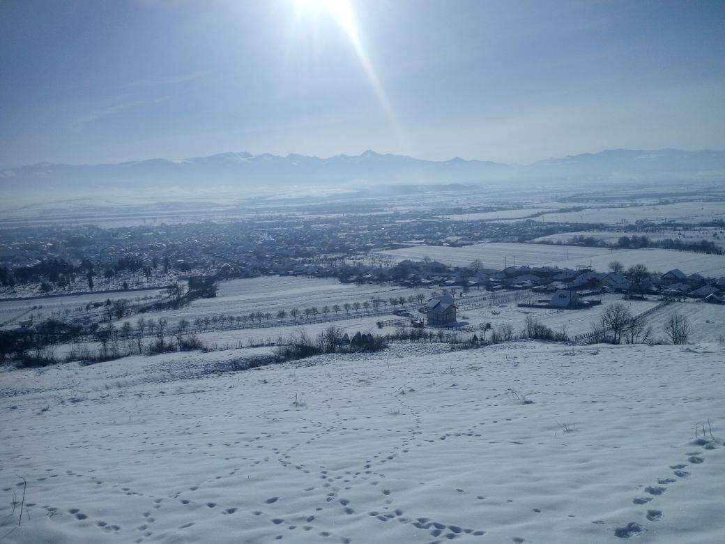 Vila Tara Hategului Bagian luar foto
