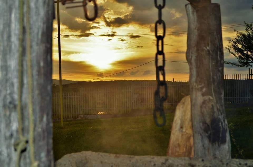 Vila Tara Hategului Bagian luar foto