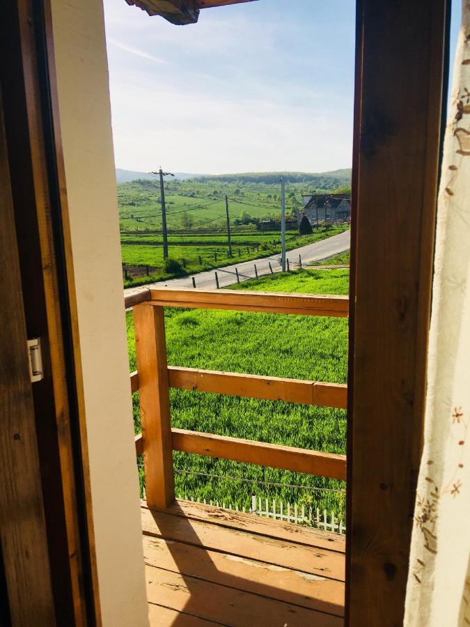 Vila Tara Hategului Bagian luar foto