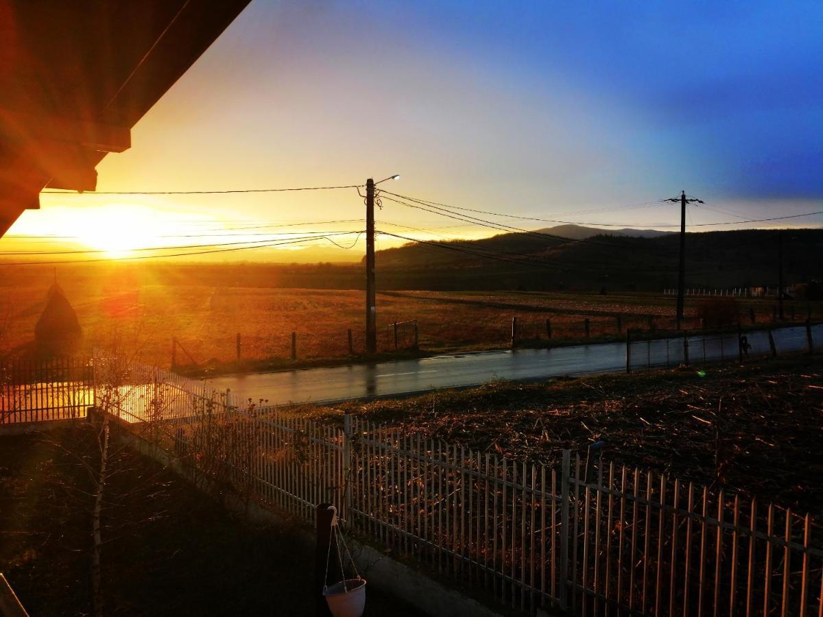 Vila Tara Hategului Bagian luar foto